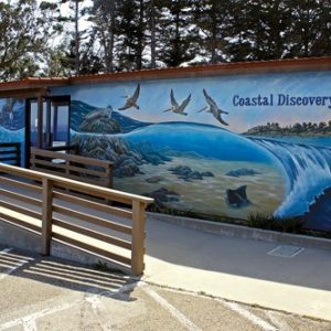 Coastal Discovery Center at San Simeon Bay