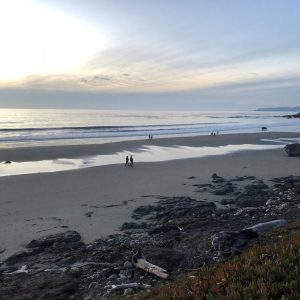 Walk the Beaches in San Simeon