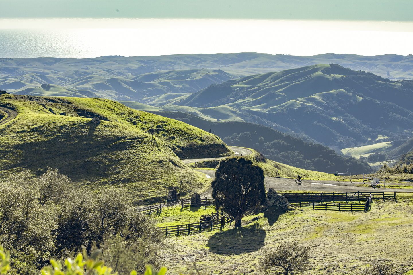 Mountain biking in San Simeon, CA.