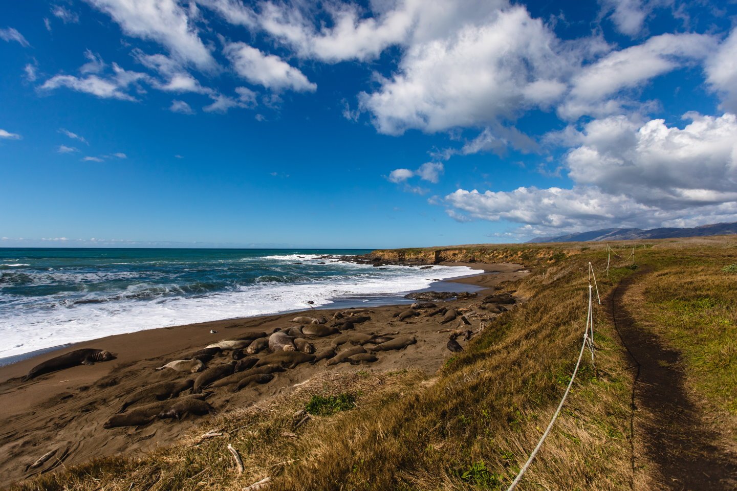 The Boucher Trail in San Simeon