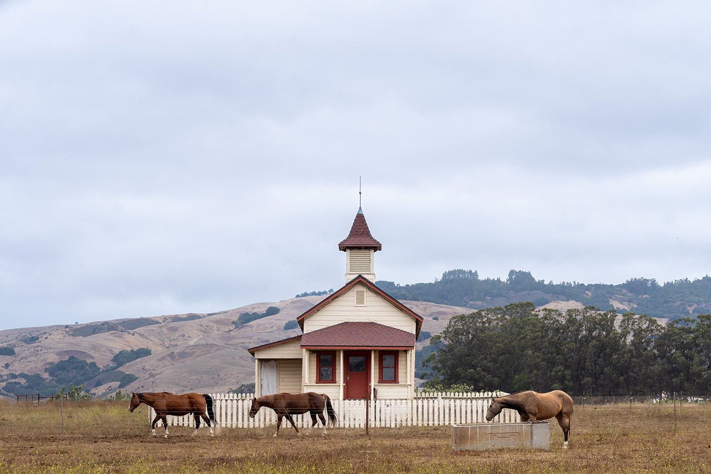 Pacific Schoolhouse San Simeon