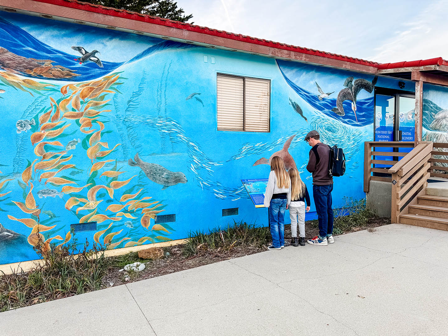 Visit San Simeon Coastal Discovery Center