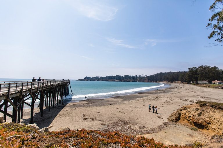 California Coastal Cleanup Day