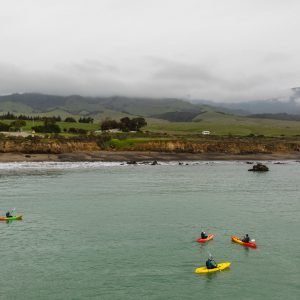 Kayak San Simeon