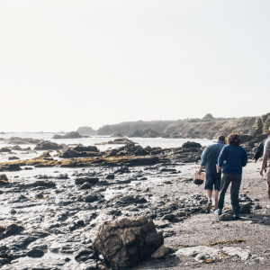 Seaweed Future 