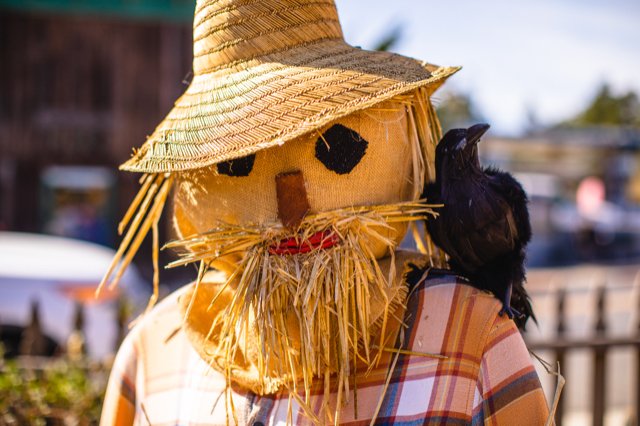 Scarecrow Festival